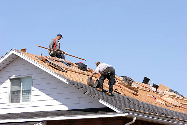 Reliable Olivia, MN Roofing and installation Solutions