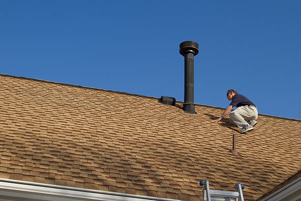 Best Roof Maintenance and Cleaning  in Olivia, MN